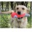 Interactive Dog Toys Champagne Wine Bottle Shape Pet Toy Plush Filled Vodka Toy Squeaky Bite-Resistant Pet Supplies Whisky